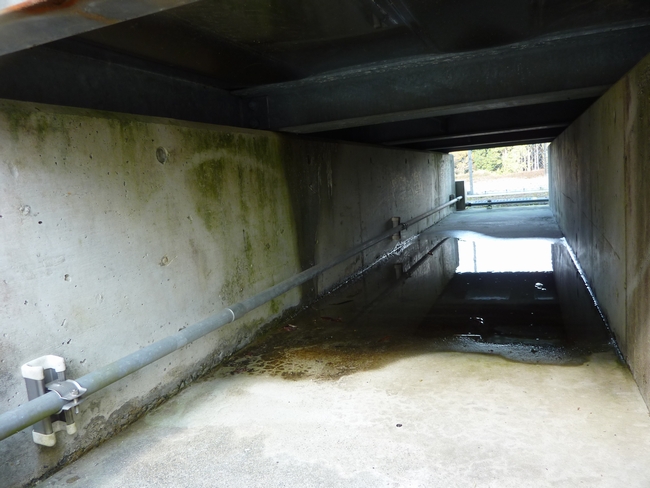 熊本市内　受水槽 （ステンレス製パネルタンク） 側部変形、ポンプ室内・底部の漏水